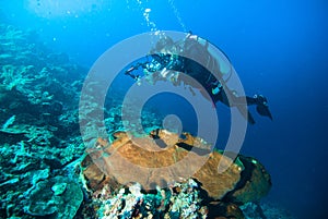 Underwater photography photographer diver scuba diving bunaken indonesia reef ocean