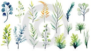 Underwater Plants Collection: Aquatic Illustration for Design, Print, or Background AI Generated