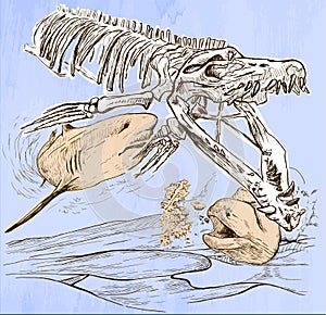Underwater Prehistory - A hand drawn vector photo