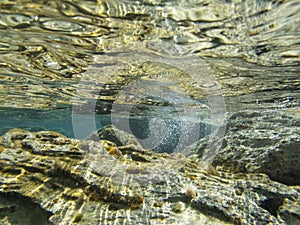 Underwater reflections