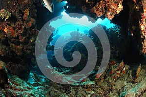 Underwater rock arch
