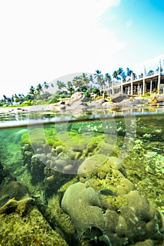 Underwater rocks on the coast of Indian Ocean in Sri Lanka.