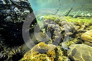 Underwater rocks on the coast of Indian Ocean in Sri Lanka.