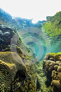 Underwater rocks on the coast of Indian Ocean in Sri Lanka.