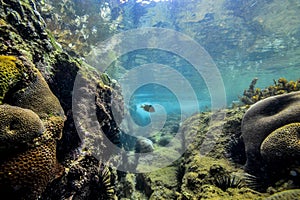 Underwater rocks on the coast of Indian Ocean in Sri Lanka.