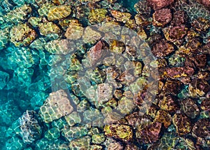Underwater Rocks with moss gradient