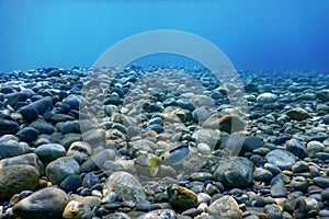 Underwater Rocks and Pebbles on the Seabed