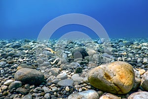 Underwater Rocks and Pebbles on the Seabed