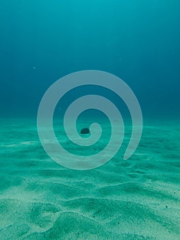 Underwater sand dunes view