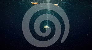 Underwater scene with fish and light