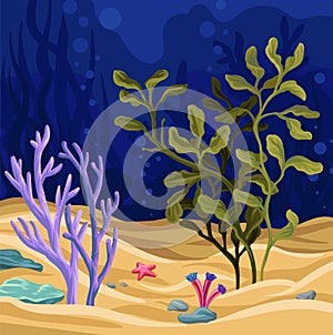 Underwater scene with seaweed, marine life vector