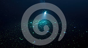 Underwater scene with fish and light