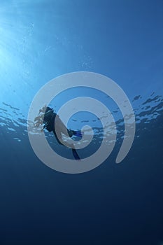 Underwater scene : surfacing scuba diver