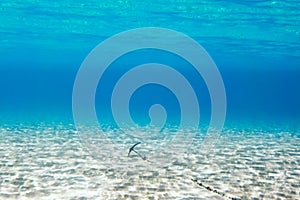 Underwater scene in tropical sandy beach, Koufonisi island, Crete.