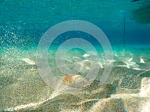 Underwater scene in tropical sandy beach, Koufonisi island, Crete.