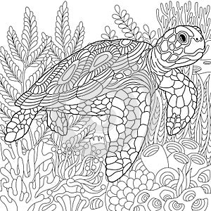 Underwater scene with a turtle