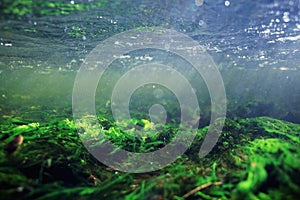 Underwater scenery in clear river water