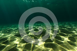 Underwater scenery of the Red Sea.