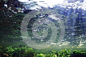 Underwater scenery in river water