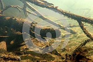 Underwater scenery in the river