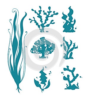 Underwater sea corals and algae vector silhouettes on white