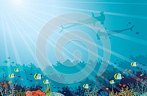 Underwater sea - Hummerhead sharks, coral reef, butterfly fish.