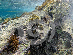 UNDERWATER sea level photo of the Aponissos beach, Agistri island, Saronic Gulf, Attica, Greece