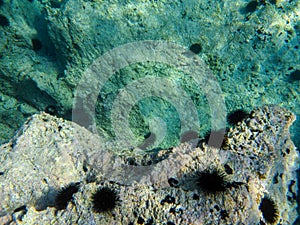 UNDERWATER sea level photo of the Aponissos beach, Agistri island, Saronic Gulf, Attica, Greece