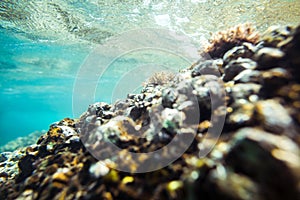 Underwater sea rocks bottom