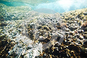 Underwater sea rocks bottom