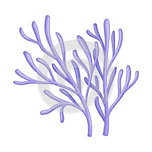 Underwater Seaweed or Algae Growing on the Ocean Bottom Vector Illustration
