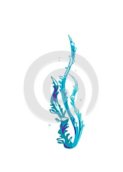 Underwater seaweed. Aquatic marine algae plant. Vector illustration