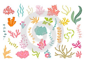 Underwater seaweed collection, corals and algae. Ocean plants, natural aquarium decor elements. Cartoon sea leaves