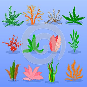 Underwater seaweed vector set on blue background. Sea plants and aquatic marine algae. Collection of types aquarium