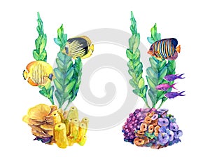 Underwater set of different compositions with coral reefs and tropical fish.