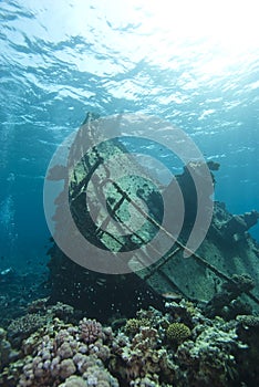 Underwater shipwreck of the Kormoran.