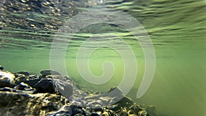 Underwater shot of the bottom of a river where the sun\'s rays of light fall into the water