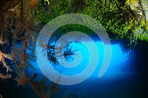 Underwater shot from cave diving in Cabo Verde