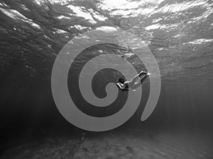 Underwater shot of girl photo