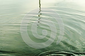 Underwater shot of grass and plants submerged in clear water with lots of airbubbles and reflection on subsurface.