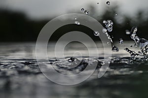 Underwater shot of grass and plants submerged in clear water with lots of airbubbles and reflection on subsurface.