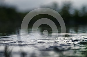 Underwater shot of grass and plants submerged in clear water with lots of airbubbles and reflection on subsurface.