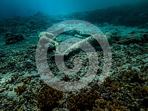 Underwater Statues at the bottom of the sea in Gili Meno Indonesia photo