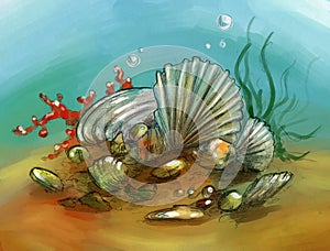 Underwater still life with shells and corals