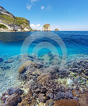 Underwater and surface split view in the tropics