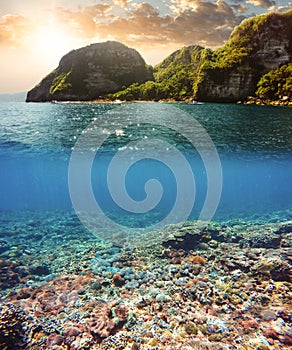 Underwater and surface split view in the tropics