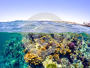 Underwater and surface split view in the tropics sea