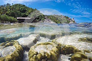 Underwater and surface view with colorful coral reef with the is