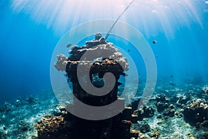 Underwater temple in ocean near Amed  Bali. Popular diving site photo