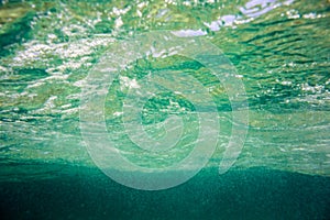 Underwater texture and fauna in Ionian sea